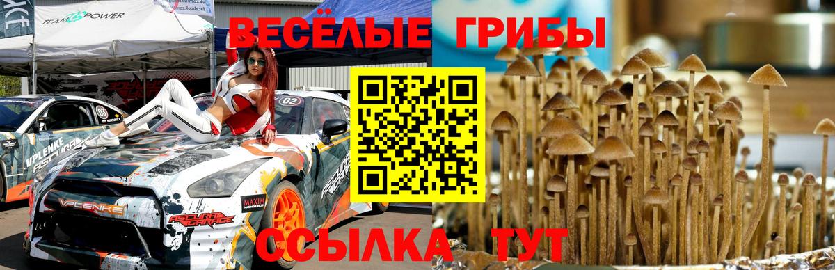 Галлюциногенные грибы мухоморы Улан-Удэ