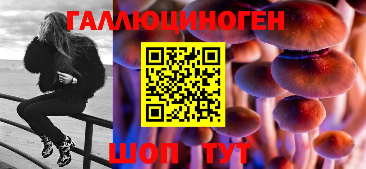 Улан-Удэ  Галлюциногенные грибы мицелий  Псилоцибиновые грибы GOLDEN TEACHER  Вход с VPN 